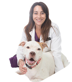 Dr. Cristina Miliaresis