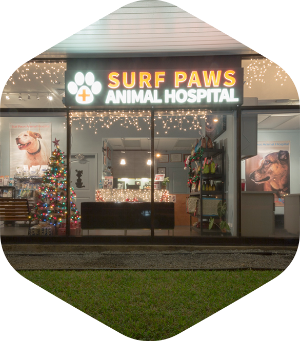 Surf Paws Animal Hospital